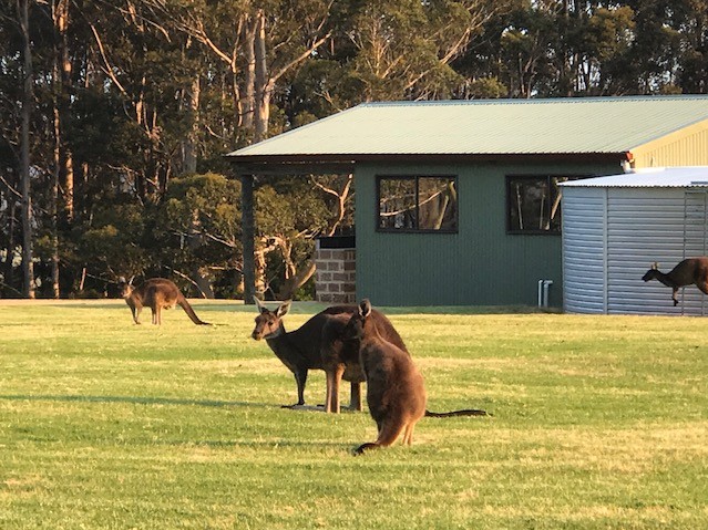 2 Bedroom Chalet - Queen Beds