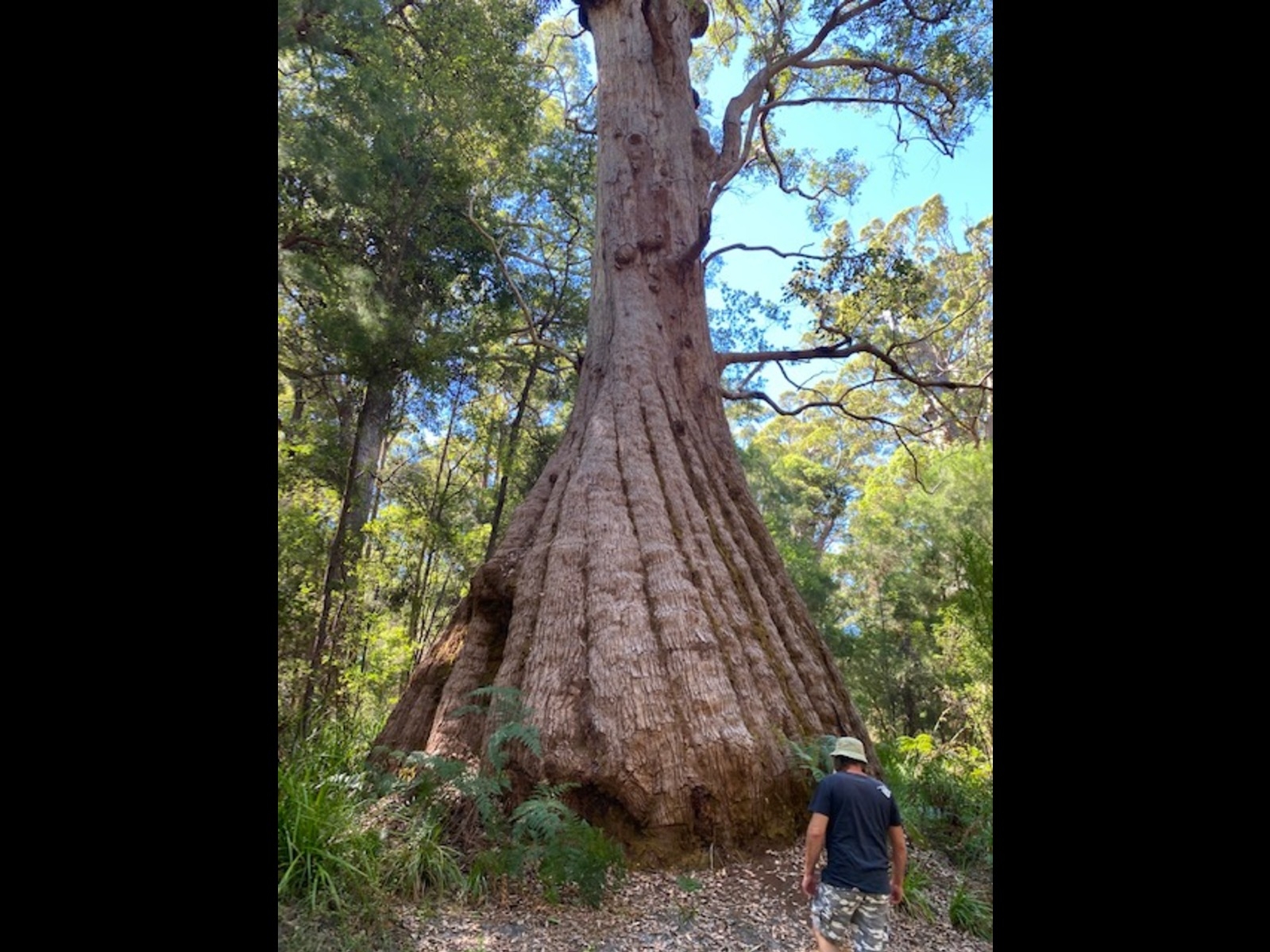 2 Bedroom Chalet - Queen Beds