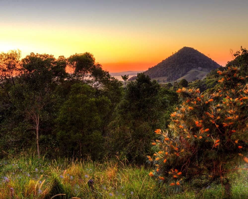 The Melbourne Tram- Noosa Hinterland Farm Stay & Nature Retreat