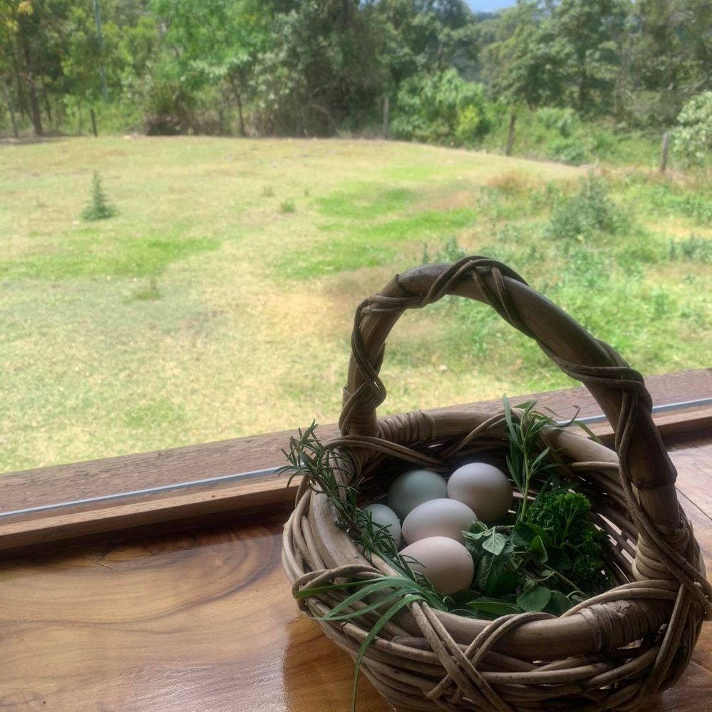 The Melbourne Tram- Noosa Hinterland Farm Stay & Nature Retreat