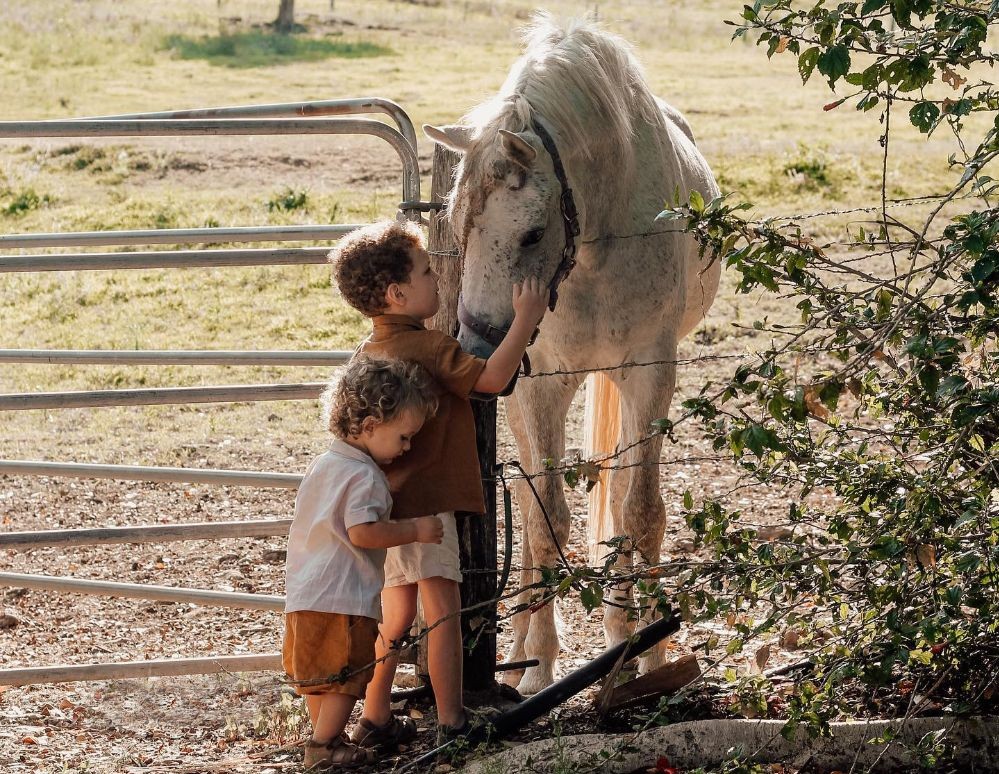 Rosecliffe Bus Stop- A Noosa Hinterland Farm Stay & Nature Retreat
