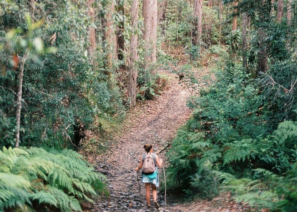 The Melbourne Tram- Noosa Hinterland Farm Stay & Nature Retreat