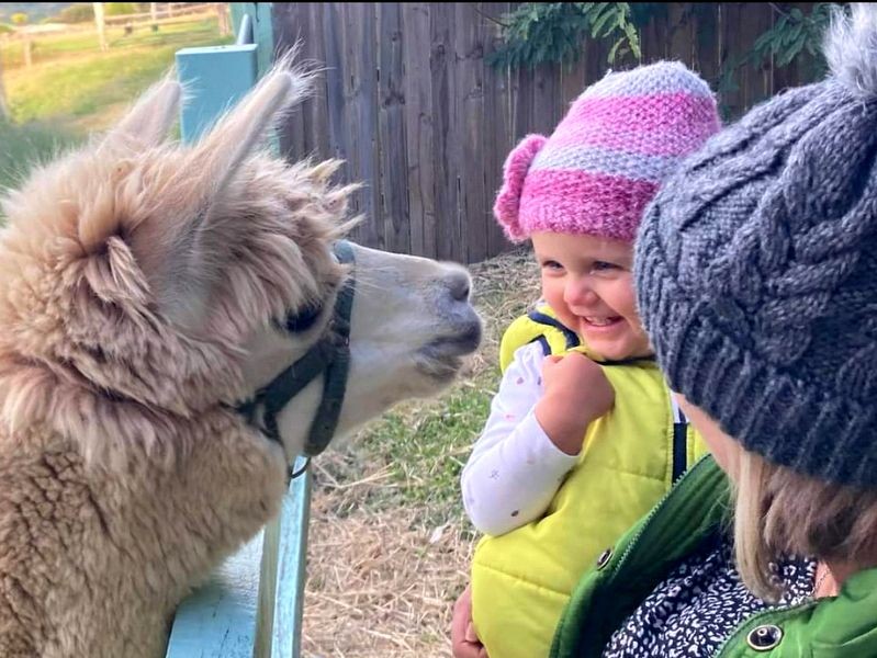 Rosecliffe Bus Stop- A Noosa Hinterland Farm Stay & Nature Retreat